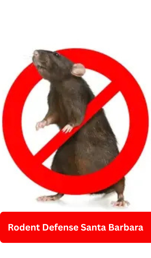 rodent control Carpinteria